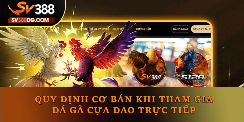 Quy định cơ bản khi tham gia đá gà cựa dao trực tiếp