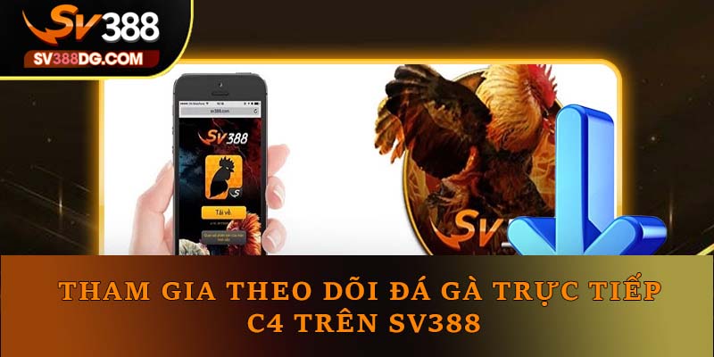 Tham gia theo dõi đá gà trực tiếp C4 trên nền tảng này